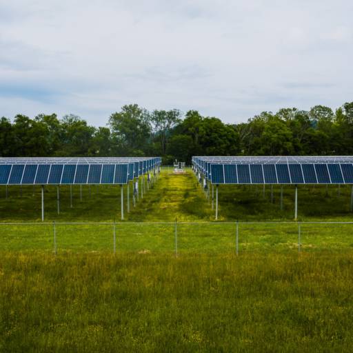 Energia solar para agricultores