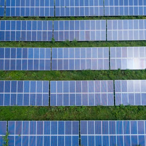 Energia solar para produtores rurais