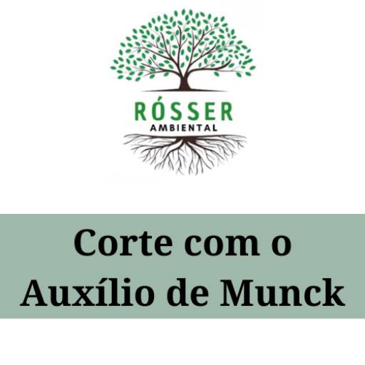 Corte com Auxilio de Munck  por Ròsser Ambiental - Poda de Árvores