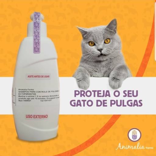 Antipulgas para gatos por Animalia Farma Jundiaí