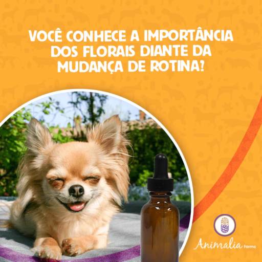 Produtos florais
