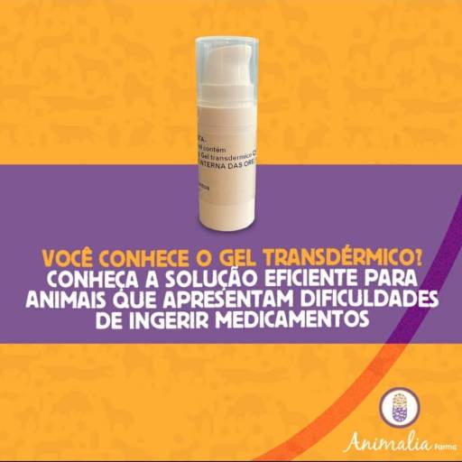Géis trandêrmicos