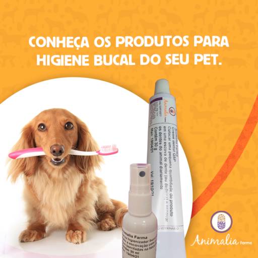 Produtos de higiene bucal para PET por Animalia Farma Jundiaí