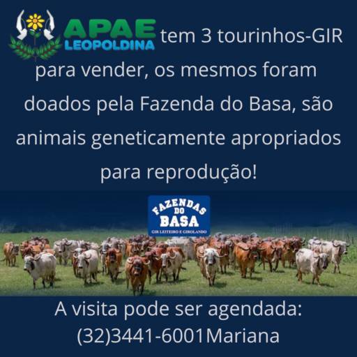 Vamos Ajudar?