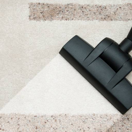 Higienização de tapetes