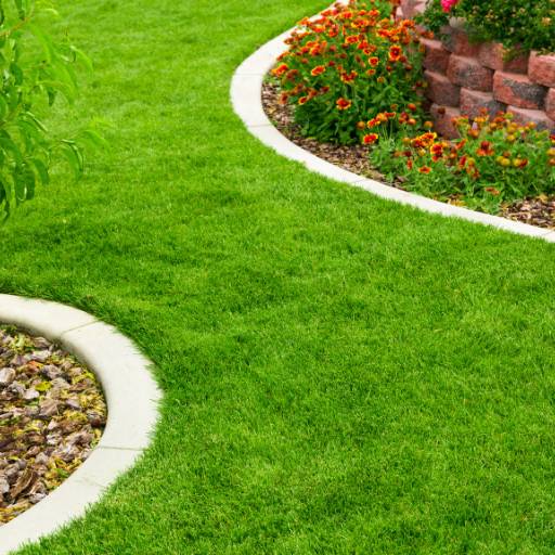 Jardinagem  por Forts Gestão - Mão de Obra Terceirizada