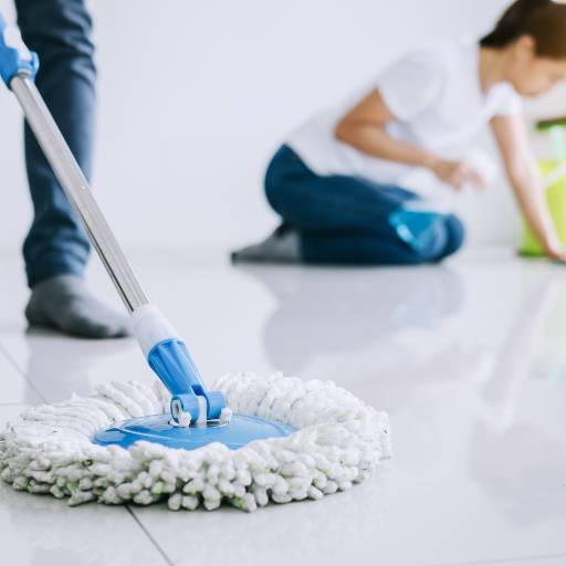 Limpeza e conservação