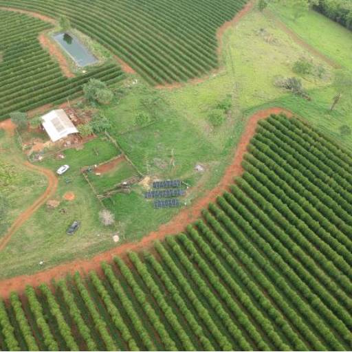 Energia Solar para Agronegócio