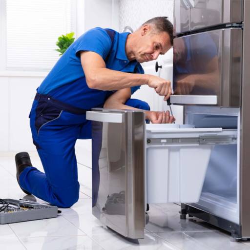 Manutenção de equipamentos de refrigeração em geral