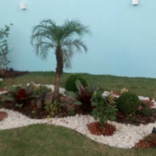Jardinagem em Salvador por Imperial Paisagismo Projetos e Serviços Técnicos