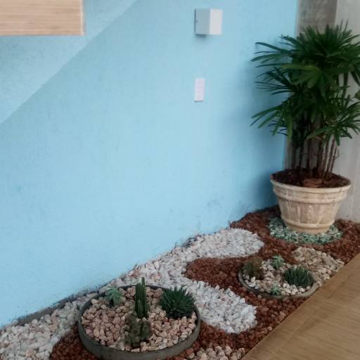 Venda de plantas em Salvador  por Imperial Paisagismo Projetos e Serviços Técnicos