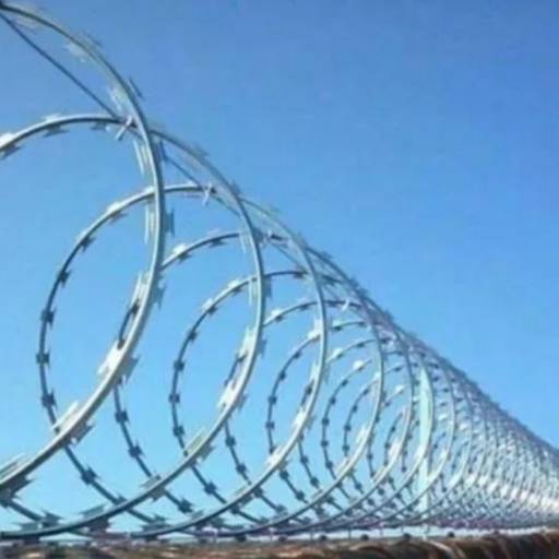 Concertina por MS Seg Distribuidora Serviços e Manutenção