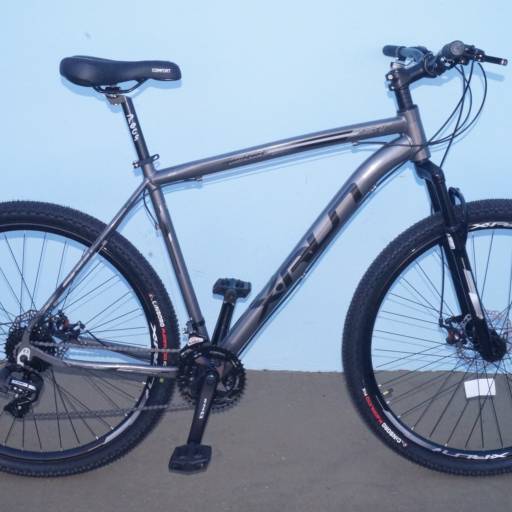 Bicicleta Aluminio Aro 29 X-RUN em Bauru, SP por Two Force Bike Shop