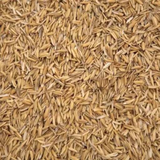 Comprar o produto de Casca de arroz em Produtos Agrícolas pela empresa Plantak Substratos Agrícolas em Marília, SP por Solutudo
