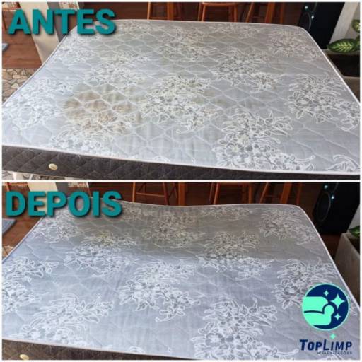 Higienização de capachos por Top Limp Avaré