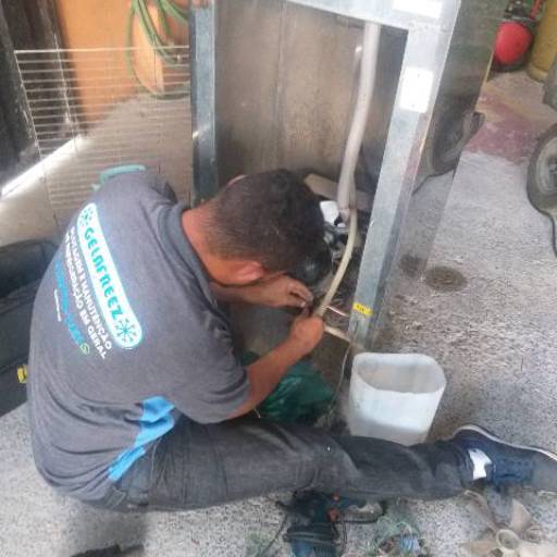 Conserto de bebedouros