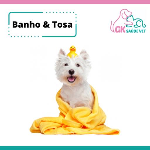 Comprar o produto de Banho & Tosa em Banho e Tosa pela empresa GK Saúde Vet - Serviço Veterinário de Emergência em Itapetininga, SP por Solutudo