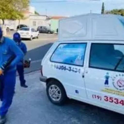 Desinsetização Eficiente para Ambientes Seguros em Rio Claro/SP