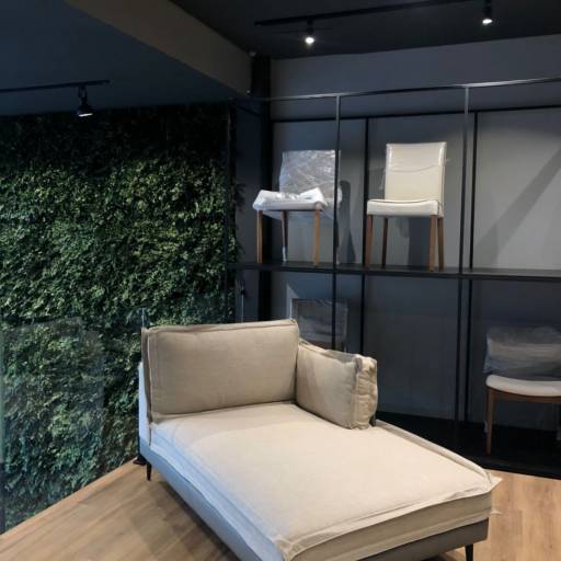 Jardim Vertical Para Quartos