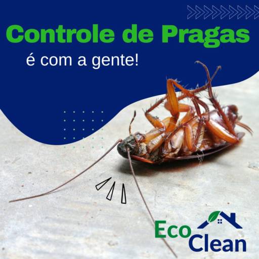 Controle de Pragas por Eco Clean Dedetizadora Avaré