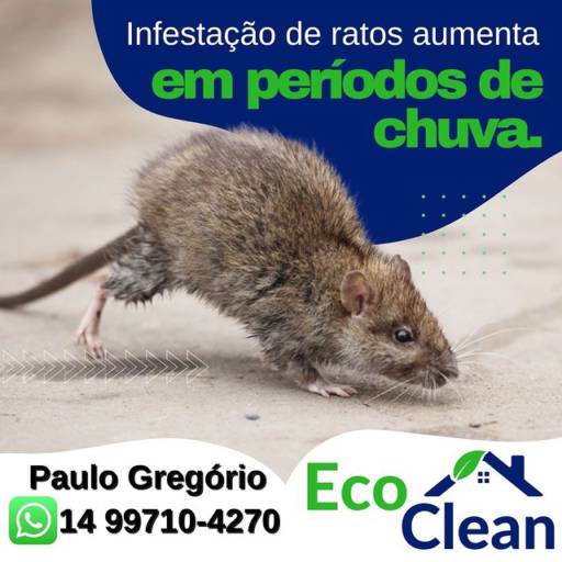 Desinsetização  por Eco Clean Dedetizadora Avaré