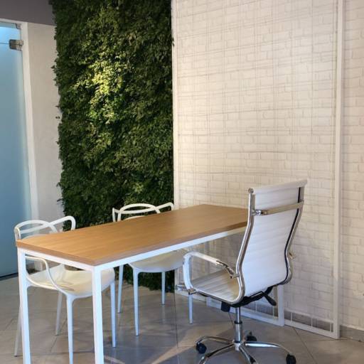 Jardim Vertical Para Escritório