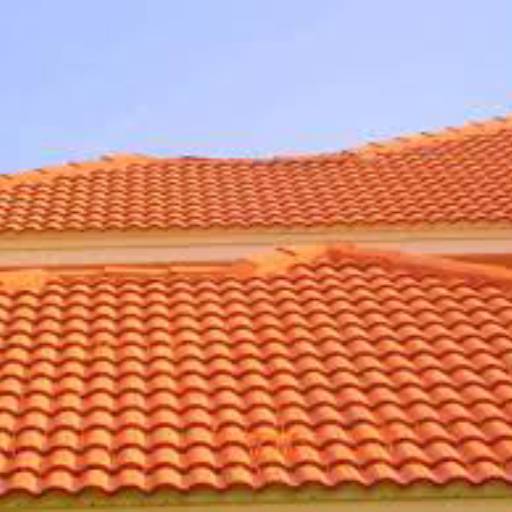 Comprar o produto de Pintura para telhado  em Pintores pela empresa Fábio Camargo Pintor em Botucatu, SP por Solutudo