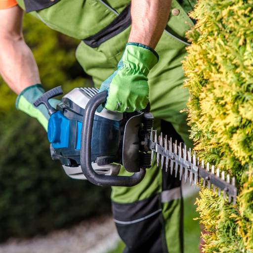Jardinagem em Cabreúva por Forts Gestão - Mão de Obra Terceirizada