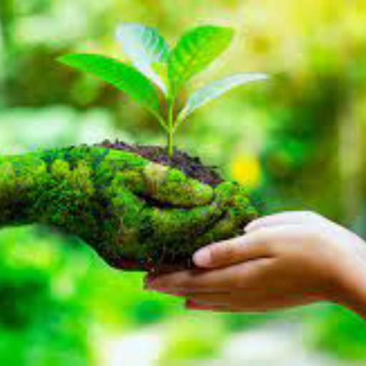  Licenciamento Ambiental 