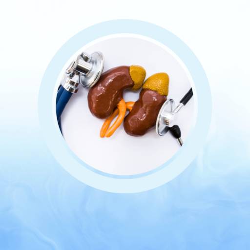 Comprar o produto de Doenças da Glândula Supra-Renal em Endocrinologia e Metabologia pela empresa Dra Bibiana Prada de Camargo CRM 93718 - Clínica de Diabetes e Saúde em Botucatu, SP por Solutudo