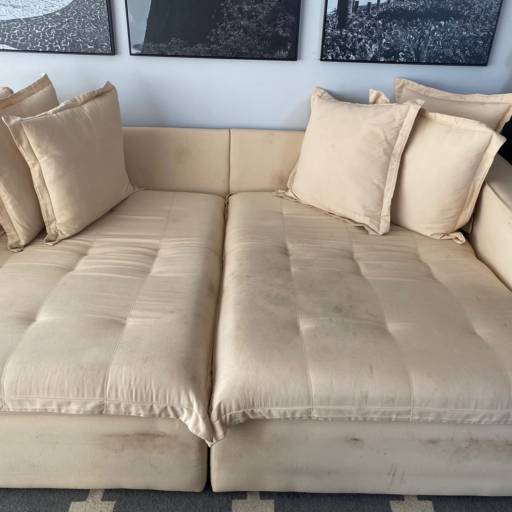 Remoção de urina de estofados por BlueShark Clean