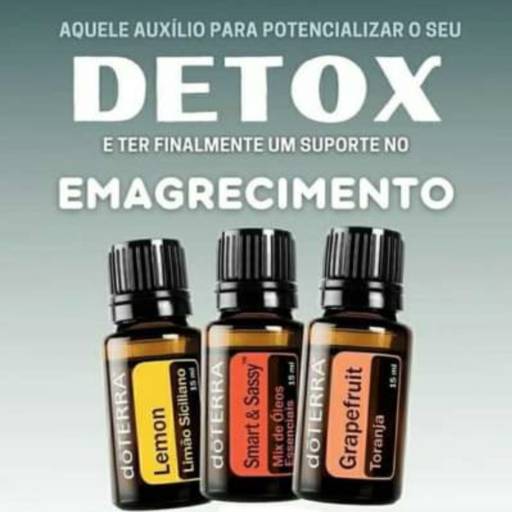 Detox por Dalmo Terapias Naturais