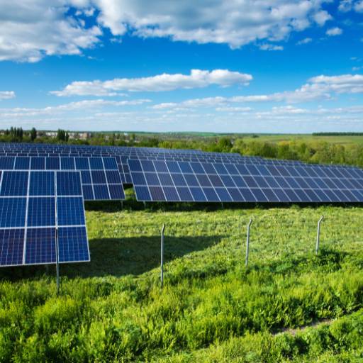 Energia Solar para Agronegócio​