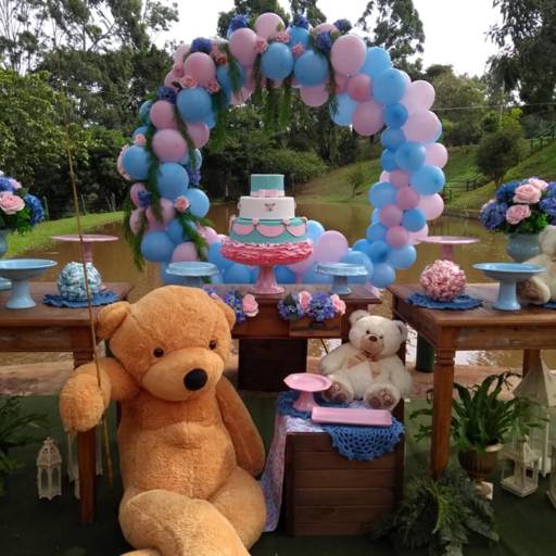 Decoração para chá revelação