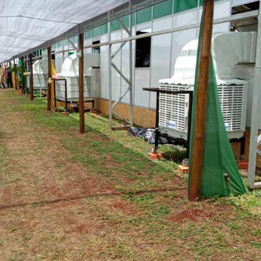 Climatizadores  por Clima Vip Climatizadores