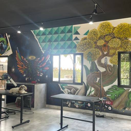 Vacinação em animais