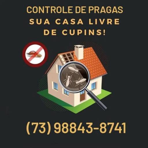 Serviços para controle de pragas por Chau Insetos Controle de Pragas