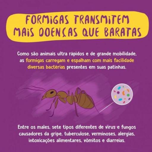 Serviços Descupinização