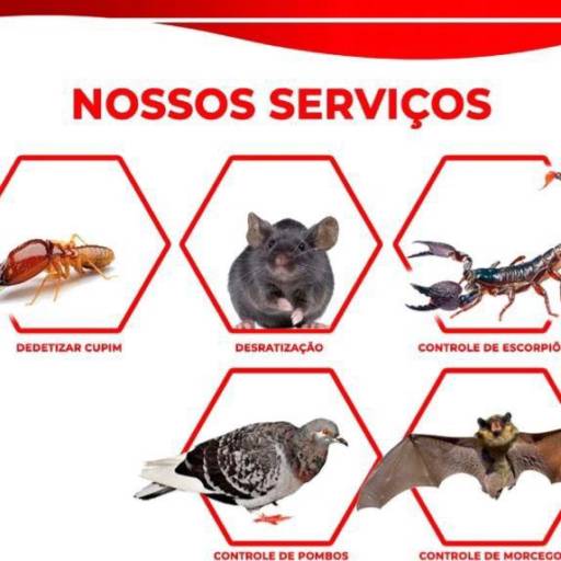Serviços de controle de insetos voadores