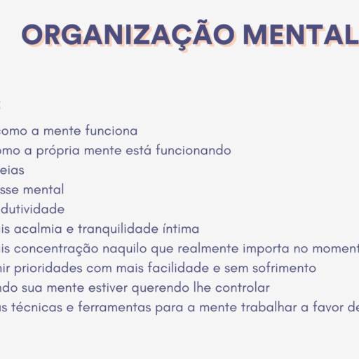 Treinamento Empresarial - Organização Mental em São José dos Campos, SP por Organideia
