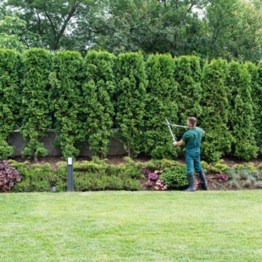 Jardinagem profissional 