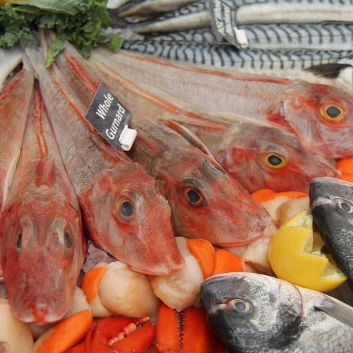 Comprar o produto de Empresa de pescados em Tonantins  em Peixarias pela empresa Pescados Sara em Tonantins, AM por Solutudo