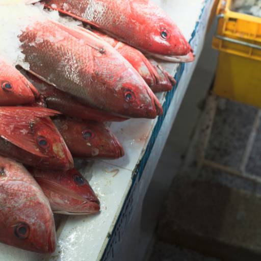 Fornecedor de pescados em Tonantins  por Pescados Sara
