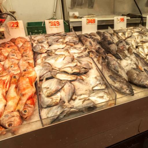 Comprar o produto de Venda de peixe  em Peixarias pela empresa Pescados Sara em Tonantins, AM por Solutudo
