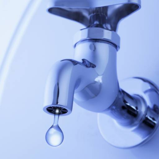 Caça-vazamentos por Desentupidora Paulinense