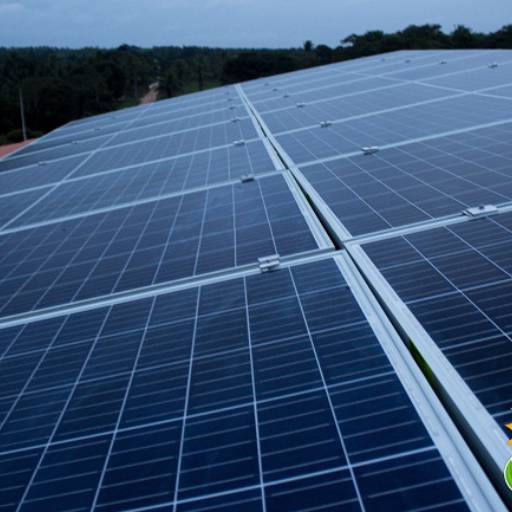 Energia Solar para Aviário