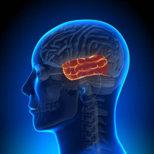 Mapeamento cerebral por Dra. Júlia Espinosa Neurologia
