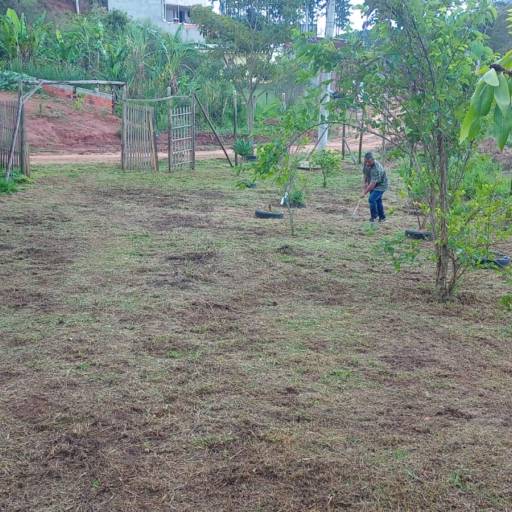 Comprar o produto de Limpeza de terrenos  em Jardinagem pela empresa Kleber Jardinagem em Jundiaí, SP por Solutudo