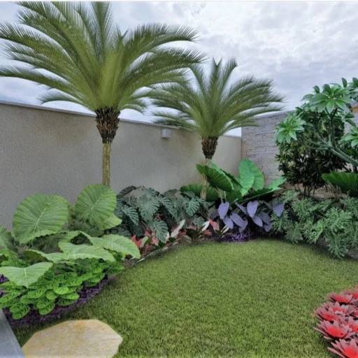 Jardineiro em Peruíbe 