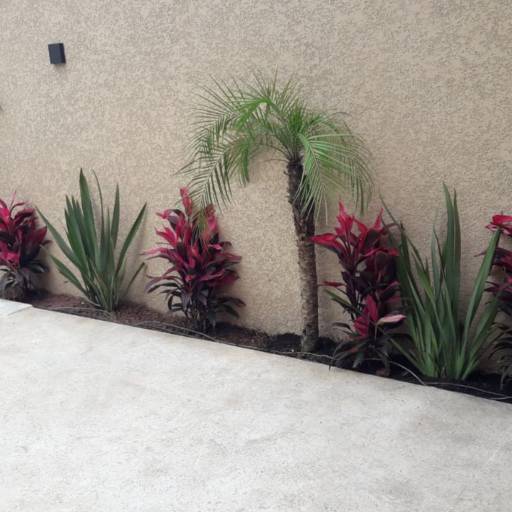 Jardineiro e paisagista em Peruíbe  por Celso Prado Paisagista e Jardineiro